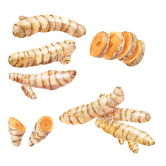 Watercolor collection of turmeric roots. - obrazy, fototapety, plakaty