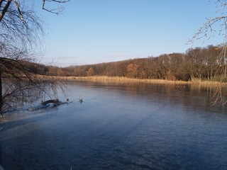 lake in autumn.landskape.water.nature