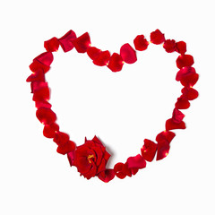 Heart shaped frame of red rose petals on a white isolated background.
