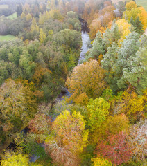 Obraz premium Forest in autumn colors. Colored trees and a meandering blue river. Red, yellow, orange, green deciduous trees in fall. Peetri river, Estonia, Europe