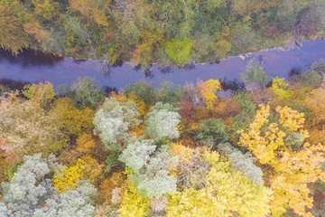 Forest in autumn colors. Colored trees and a meandering blue river. Red, yellow, orange, green deciduous trees in fall. Peetri river, Estonia, Europe
