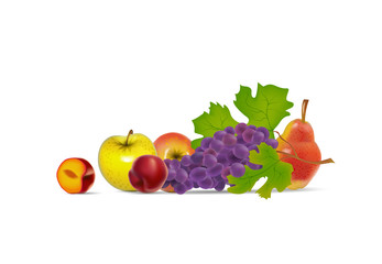 Pattern with realistic vegetables on white backdrop. Vecor illustration.