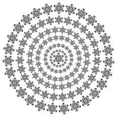 vector snowflakes on a white background. Beautiful winter ornament. black line brush