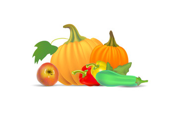 Pattern with realistic vegetables on white backdrop. Vecor illustration.