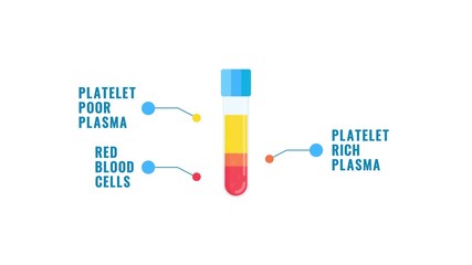 PRP blood structure infographics animation with a tube
