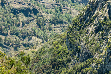 Aerial view of Los Roques - cult place near Garajonay national park at La Gomera. Old volcanoes. Thickets of relic laurels and heather on steep green slopes. Canary. Spain