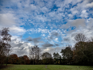 Obraz premium WINTER TREES