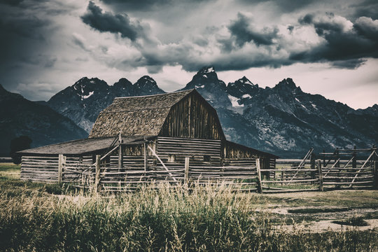 Located along Mormon Row in Grand Teton National Park is the famed T.A. Moulton Barn. 