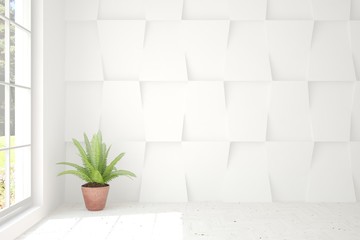 Empty room in white color with small home plant. Scandinavian interior design. 3D illustration