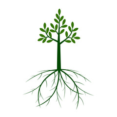 Green shape Tree and Icon. Vector outline Illustration.