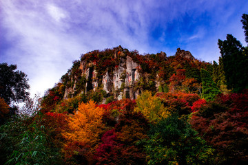 一目八景の紅葉