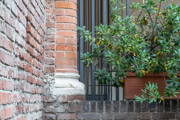 detail of wall of castle in italy