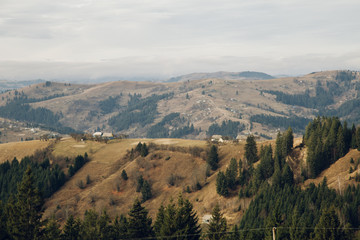 Fototapeta na wymiar Amazing mountain lanscape in the wild Carpathians