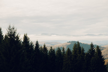 Amazing mountain lanscape in the wild Carpathians