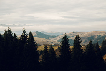 Amazing mountain lanscape in the wild Carpathians