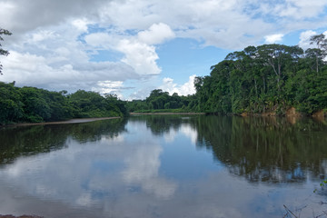 Fototapeta na wymiar La Comté, affluent du fleuve Mahury vu du bourg Hmong de Cacao en Guyane française