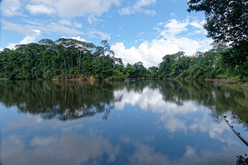 Fototapeta na wymiar Rivière La Comté vu du bourg de Cacao, commune de Régina en Guyane française