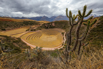 Ancient Inca circular terraces at Moray (agricultural experiment station), Peru.