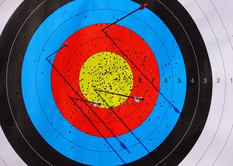 Archery target on the competition field