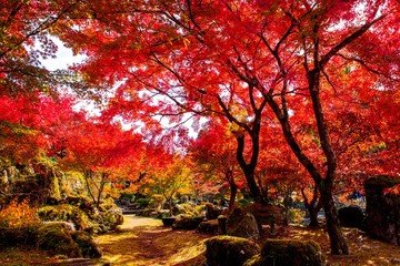 渓石園の紅葉