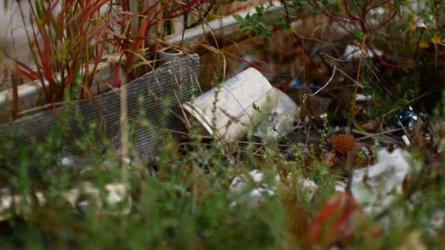 Trash on the grass in a park area. Trash left by people, environmental disaster