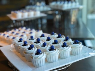 The blueberry mousse cupcakes are displayed on the lovely tiny white ceramic tray for break.