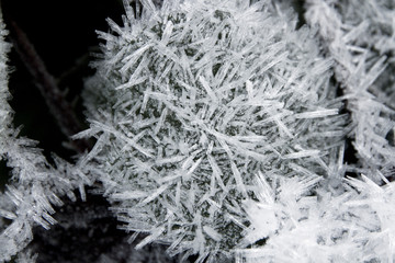 Frost und Eiskristalle Schneekristall im Wald auf den Bäumen und Zweige im Winter. Gefrorener Baum und Raureif in der Kälte. Nahaufnahme