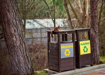 Trash cans for separate collection of garbage. Madrid, Spain. 