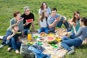 Positive people sitting and talking on picnic