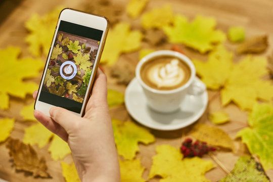 A girl photographs an autumn flatlay on her phone. Autumn flat lay composition with dry leaves 