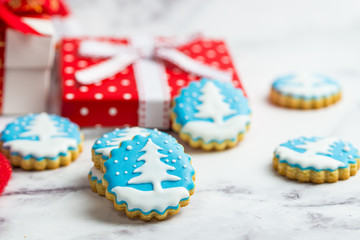 Christmas gingerbread cookies