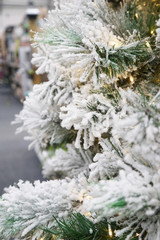Naklejka na ściany i meble snow covered christmas tree