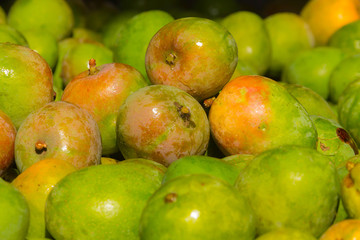 A pile of freshly harvested organic mangoes.