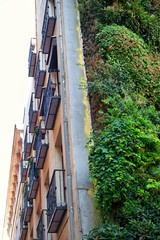Caixa Forum Madrid and the vertical garden of Patrick Blanc