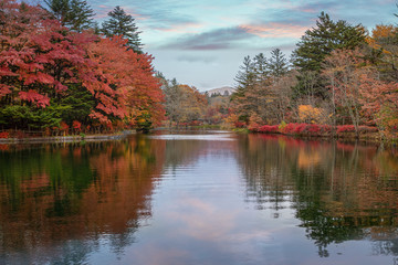 Calm lake with beautiful autumn trees reflecting.