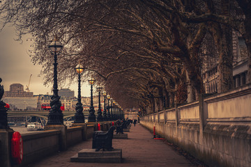 Perspective view of the riverside of Thames in London, with street lamps and trees decorated with Christmas lights