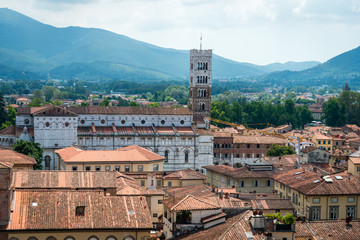 Vue de puis la  Torre Guinigi à Lucca en Italie