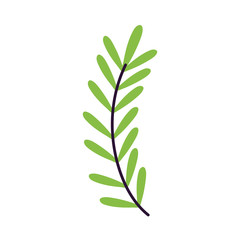 foliage leaves branch nature icon