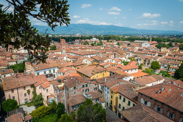 Fototapeta na wymiar Vue de puis la Torre Guinigi à Lucca en Italie