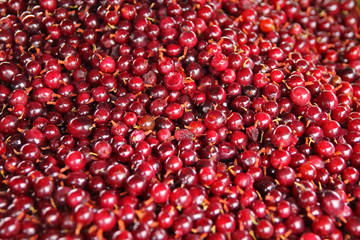 Close up of red berries in a market in North Europe