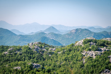 Fototapeta na wymiar Mountains of Montenegro. Green forest and haze
