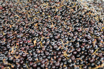 Close up of black berries in a market in North Europe