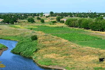 Summer rural landscape. 