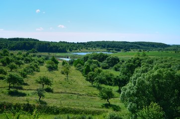 Fototapeta na wymiar Orchard and small ponds in summer