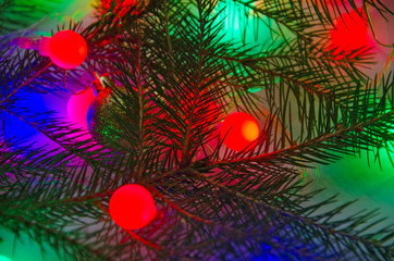 Fototapeta na wymiar branch of new year tree with multi-colored light bulbs 