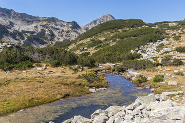 Fototapeta na wymiar landscape with mountain river, Pirin Mountain, Bulgaria