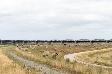 Ehemalige Eisenbahnbrücke über die Elbe bei Dömitz