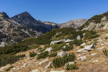 Fototapeta na wymiar landscape of Pirin Mountain near Fish Banderitsa lake, Bulgaria