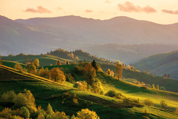 mountainous countryside at sunset. landscape with grassy rural fields and trees on hills rolling in to the distance in evening light. distant ridge and valley in haze. fantastic scenery in springtime - obrazy, fototapety, plakaty