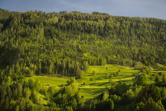 Las i wzg&oacute;rza w Austrii
